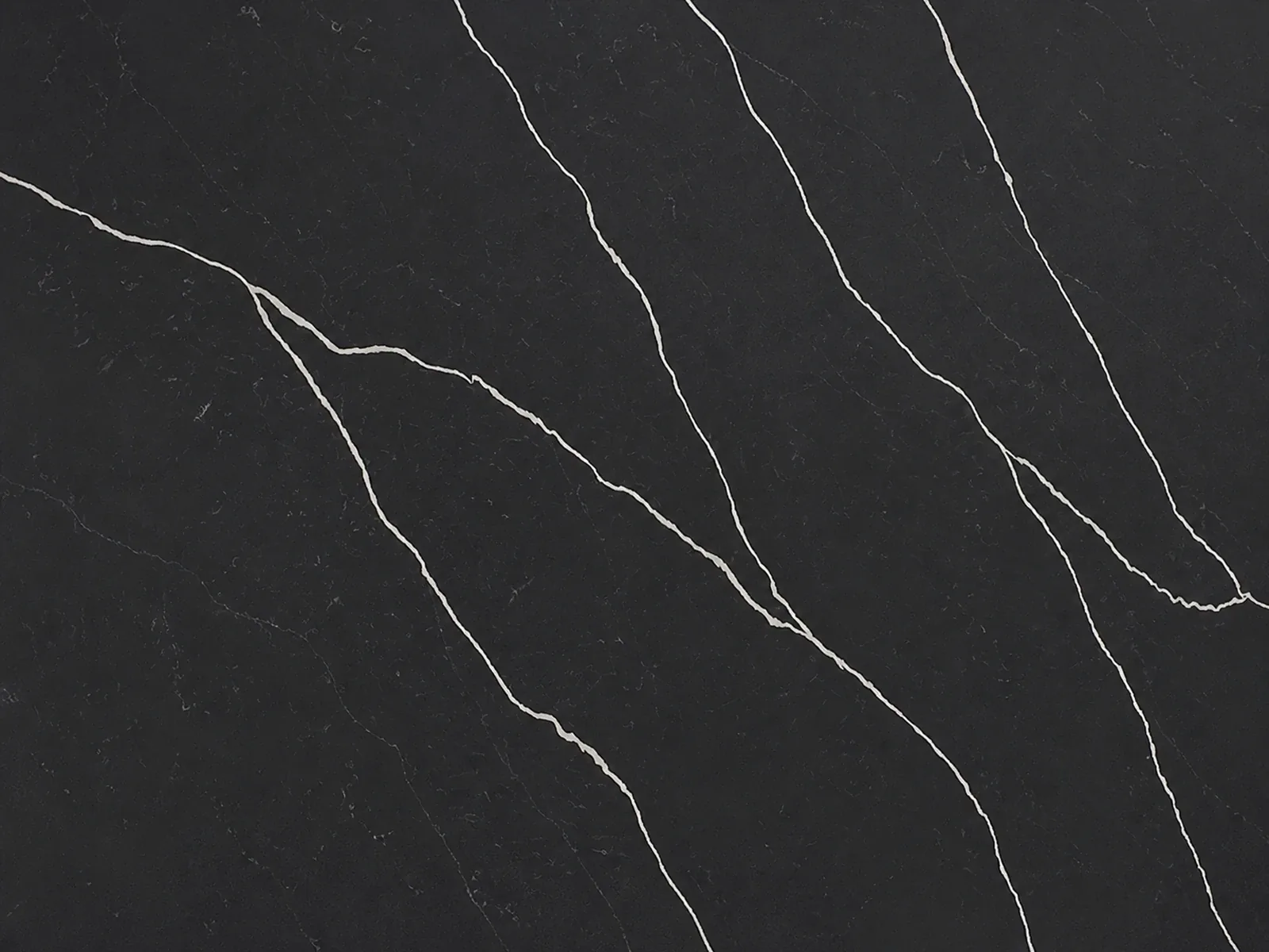 Darwin quartz from the limited Aspen collection