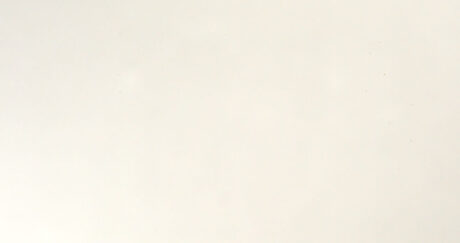 Pure White